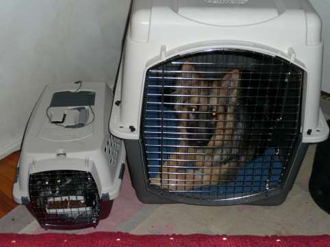 Crate irony