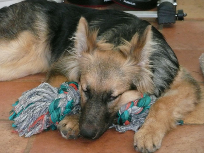 Sleeping