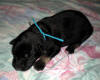 5 days